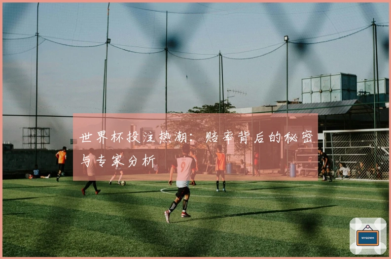 世界杯投注热潮：赔率背后的秘密与专家分析