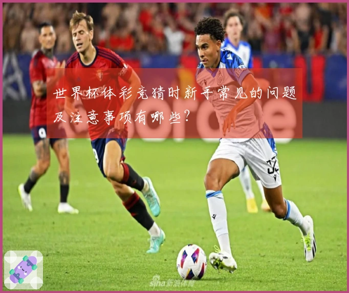 世界杯体彩竞猜时新手常见的问题及注意事项有哪些？