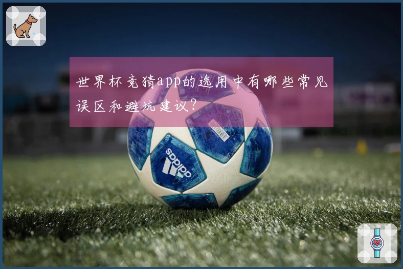 世界杯竞猜app的选用中有哪些常见误区和避坑建议？