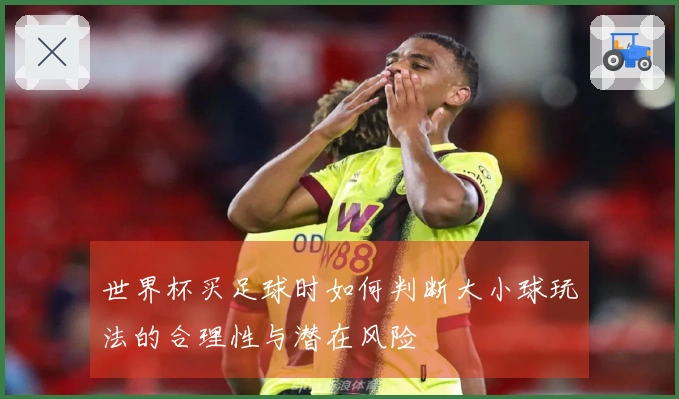世界杯买足球时如何判断大小球玩法的合理性与潜在风险