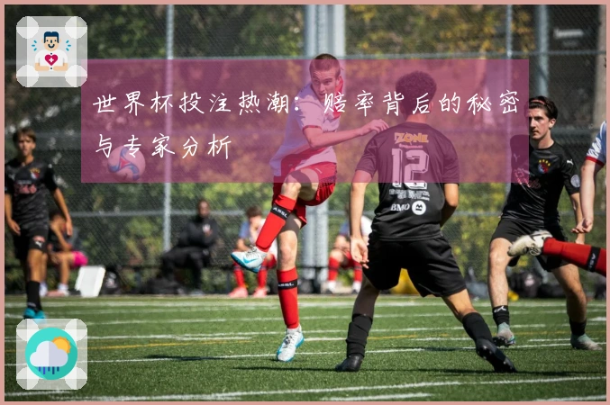 世界杯投注热潮：赔率背后的秘密与专家分析