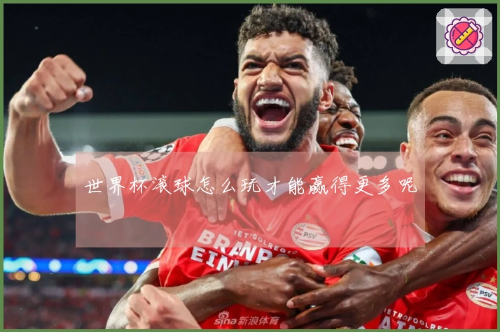 世界杯滚球怎么玩才能赢得更多呢