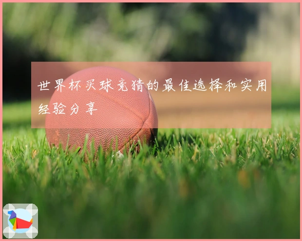 世界杯买球竞猜的最佳选择和实用经验分享
