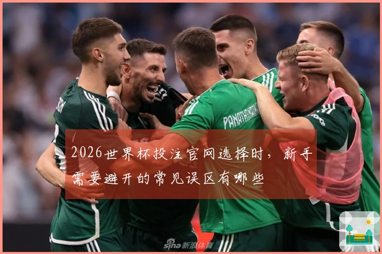 2026世界杯投注官网选择时，新手需要避开的常见误区有哪些