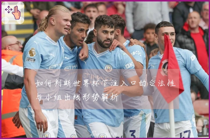 如何判断世界杯下注入口的合法性与小组出线形势解析